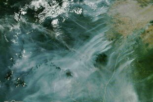 Ein Satelitenbild zeigt Rauchschwaden, die von dem brasilianischen Regenwald aufsteigen