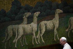 Der Papst im Vordergrund, im Hintergrund ein großes Bild mit Schafen auf einer Wiese