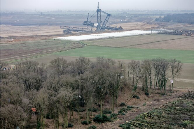 Wenige Bäume vor Tagebau mit riesigem Bagger