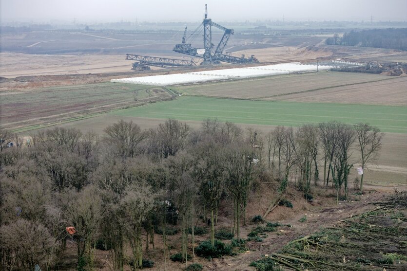 Wenige Bäume vor Tagebau mit riesigem Bagger