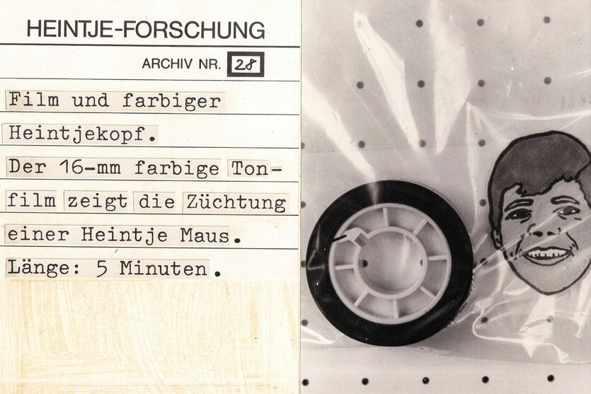 Eine Archivkarte beschreibt einen Kurzfilm, in dem die Züchtung einer Heintje-Maus geschildert wird