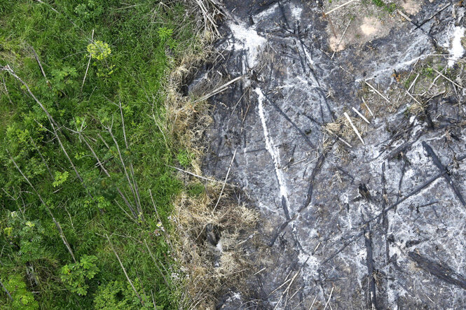 Ein Tropenwald aus der Luft fotografiert, ein Teil ist abgebrannt.