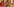 Der Musiker Helge Schneider posiert zusammen mit dem Esel Lilly waehrend eines Fototermins fuer die Fotografen. In seiner Hand hält er eine Karotte.