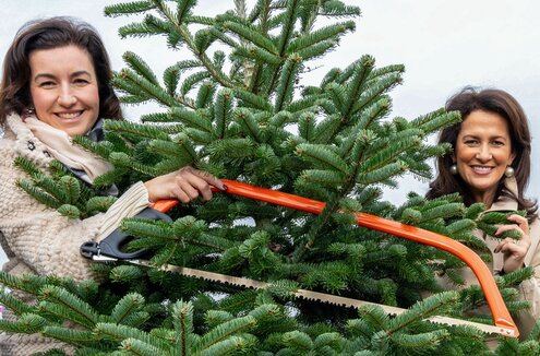 Digitalministerin Dorothee Bär mit Säge