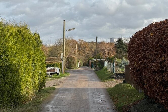 Eine nasse, schmale Straße in einer ruhigen Wohngegend an einem bewölkten Tag, gesäumt von Hecken und herbstlichen Bäumen, mit Strommasten und einem Autoanhänger im Hintergrund.