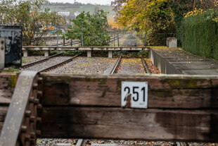 Ein holziger Prellbock steht am Kopf von Gleisen, die von Bäumen und Hecken umgeben in der Ferne verschwinden.