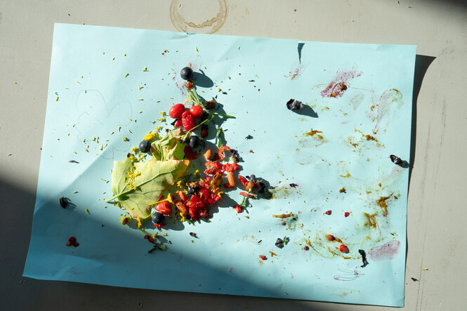 Gesammelte Früchte und Pflanzen sind auf einer Serviette ausgebreitet