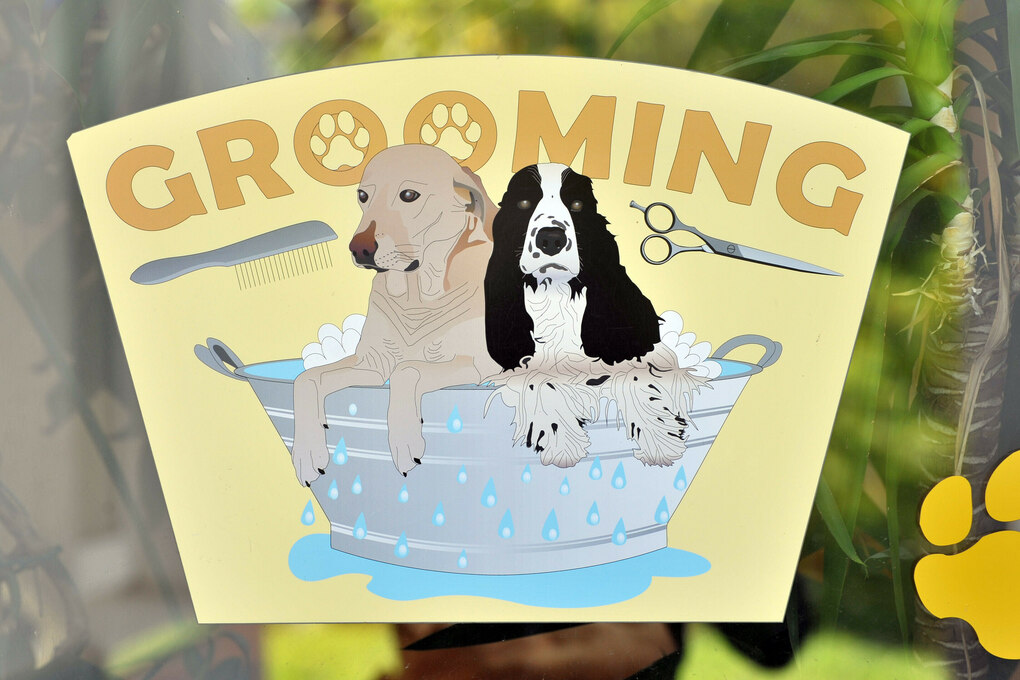 Ein Plakat mit der Aufschrift "GROOMING" zeigt zwei Hunde in einer Badewanne mit Seifenschaum. Daneben sind eine Bürste und eine Schere abgebildet, ein gelber Pfotenabdruck ziert die untere Ecke.