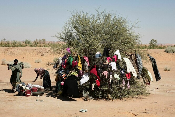 Geflüchtete hängen Kleidung zum Trocknen an einem Busch aus.