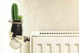 Kaktus ist auf einem Heizungsthermostat festgeklebt