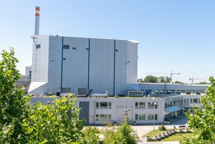 Blick durch Bäume auf ein hellstrahlendes eckiges Gebäude