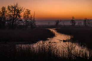 Das Untere Odertal bei Sonnenaufgang