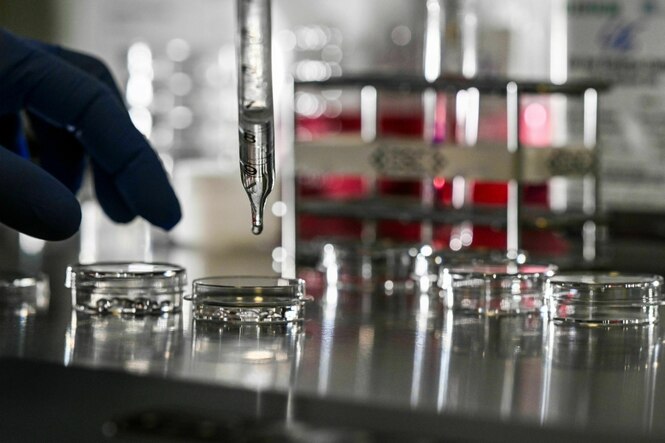 Im Zelllabor werden Kulturschalen im Fertility Center Berlin zum Sammeln der Eizellen nach der Eizellenentnahme vorbereitet