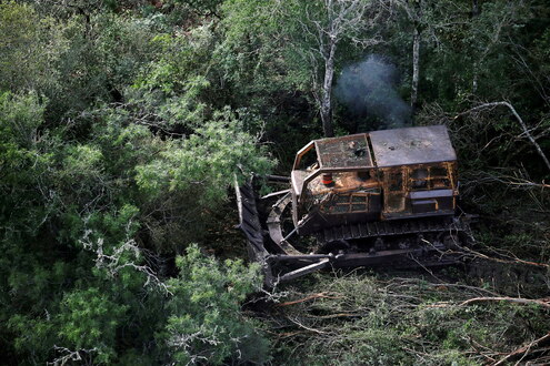 Ein Bulldozer entfernt Bäume aus einem Waldgebiet in Argentinien