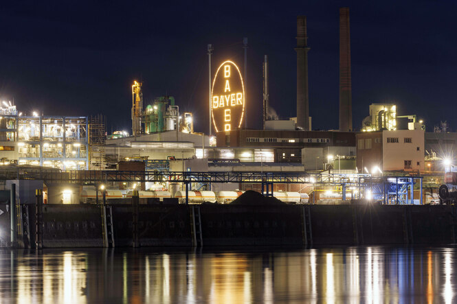 Das Logo des Pharmakonzerns Bayer leuchtet am Standort des Konzerns am Rheinufer bei Leverkusen