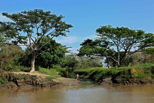 Bäume und Menschen am Ufer des Rio Magdalena