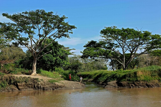 Bäume und Menschen am Ufer des Rio Magdalena