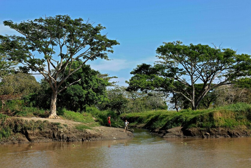 Bäume und Menschen am Ufer des Rio Magdalena