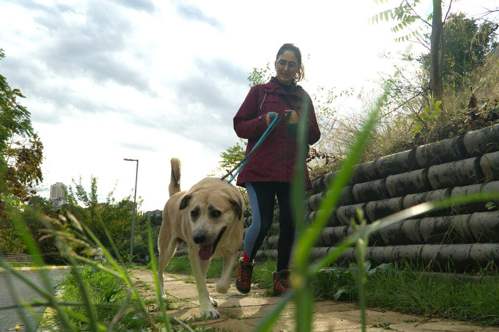 Ozgun Bastas führt einen Sund an der Leine einen Weg entlang, im Vordergrund Grashalme