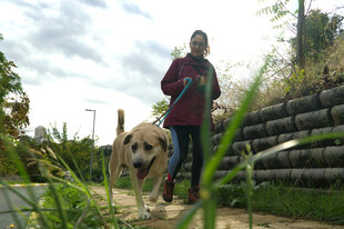 Ozgun Bastas führt einen Sund an der Leine einen Weg entlang, im Vordergrund Grashalme
