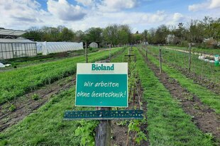 Ein Schild mit dem Hinweis WIR ARBEITEN OHNE GENTECHNIK - auf einem Feld, links stehen Gewächshäuser