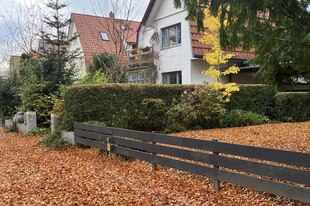 Laub auf dem Gehweg vor einem Reihenhaus