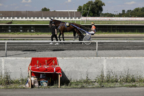 Trabrennbahn in Mönchengladbach. Im Vordergrund kleine Trophäen auf der roten Decke eines Stuhles, im Hintergrund ein Pferd mit Sulky geführt von einem Reiter