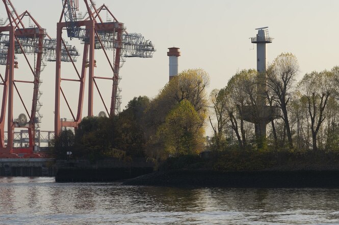 Bäume im Herbstlaub an einer Kaikante, im Hintergrund Containerbrücken
