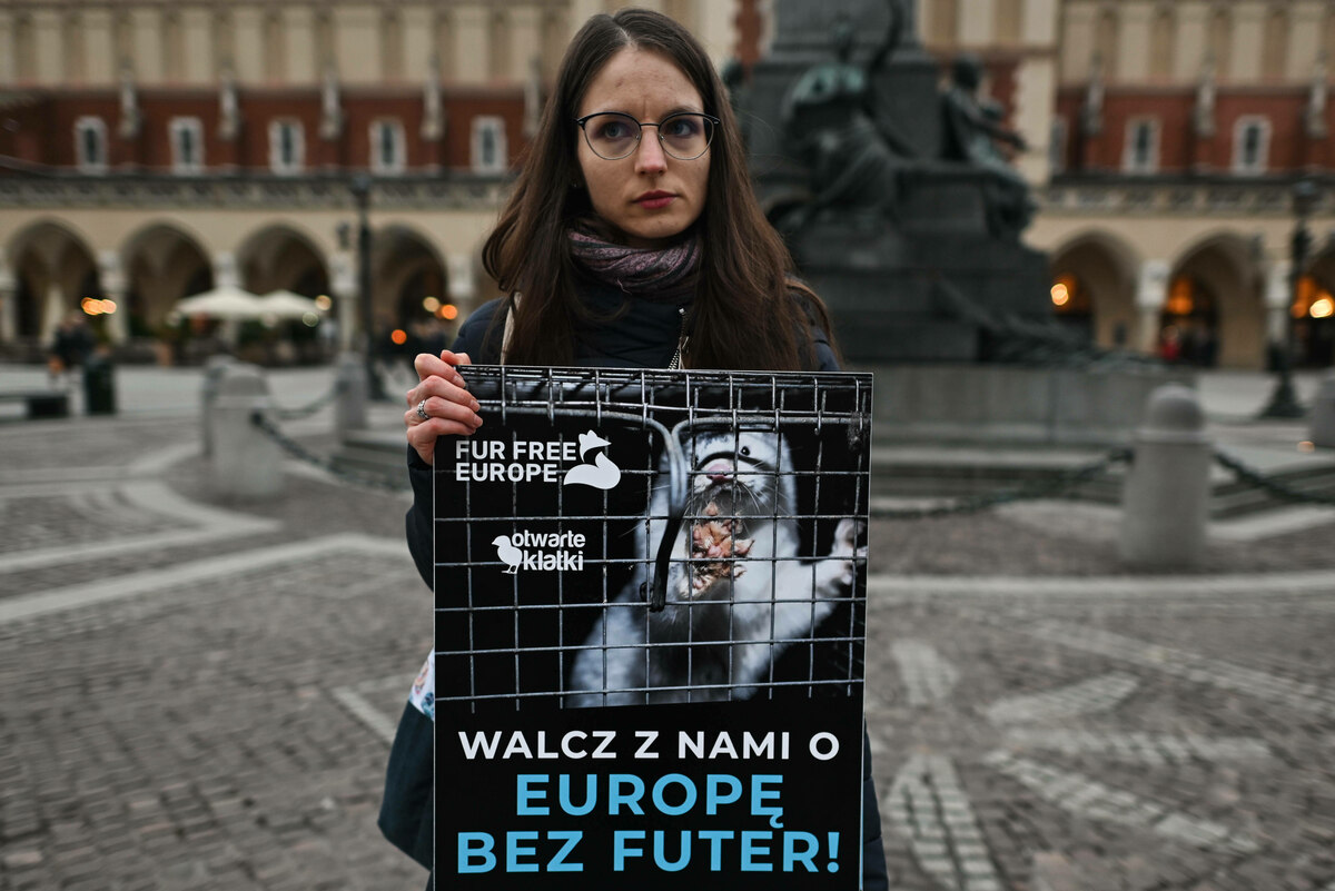 Pelzfarmen-in-Polen-werden-verboten-Die-K-figt-ren-ffnen-sich