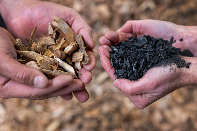 Zwei Hände halten Biomasse und fertige Pflanzenkohle