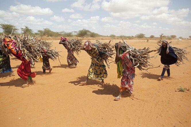 Frauen tragen Äste auf ihren Köpfen