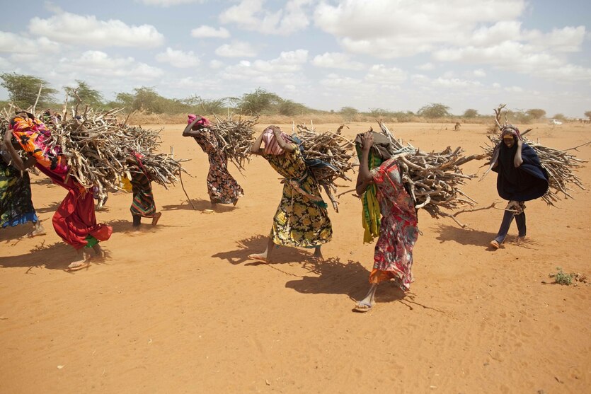 Frauen tragen Äste auf ihren Köpfen
