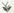 Eine Brosche in Form eines Vogels