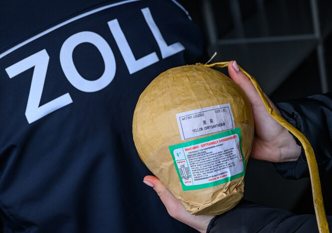 In einem speziellen Gefahrgutcontainer vom Hauptzollamt in Frankfurt (Oder) wird eine beschlagnahmte Kugelbombe gezeigt.