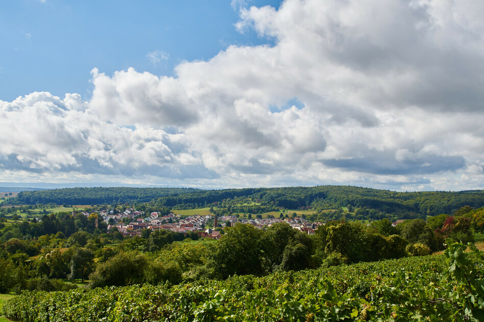 Abstimmung über Windenergie in Bruchsal: Windkraftfreunde gewinnen, gebaut wird trotzdem nicht