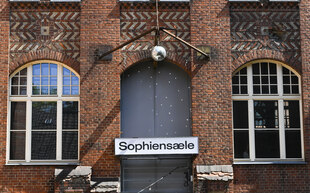 Sophiensaele: "Men in Feminism" untersucht die Rolle von Männern im Feminismus