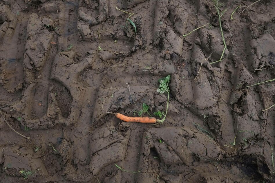 Umweltverband zu Bauernprotest: „EU-Agrarsubventionen sollten komplett gestrichen werden“