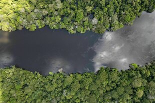 Luftaufnahme des überfluteten Waldes in Brasilien