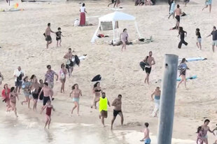 Menschen rennen in Badekliedung am STrand, im Hintergrund ist eine Straße und parkende Autos zu sehen