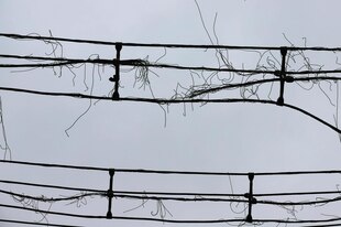 Kaputte Stromleitung, die Kabel sehen zerzaust aus