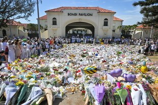 Blumen am Bondi Pavillon