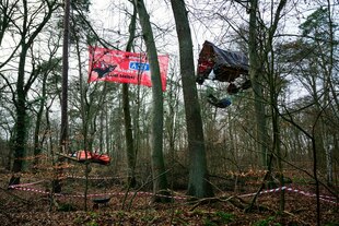 Protestcamp im Wald, Baumhäuser und Plakate.