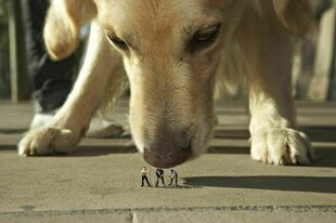 Ein überdimensionaler Hund schnüffelt an kleinen Menschen
