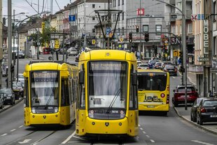 Zwei gelbe Straßenbahnen und ein gelber Bus fahren über eine mehrspurige Straße, die von recht hohen Wohnhäusern und Geschäften gesäumt wird.