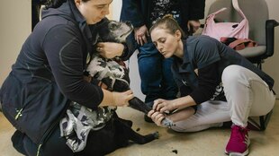 Tierärztin Janine Bräuer versorgt mit einer Kollegin einen Hund