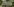 „Du glaubst, es ist cool Soldat/in zu sein?“ auf Camouflage-Hintergrund