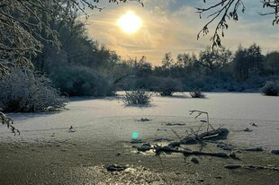 Die Sonne steht über dem verschneiten Eppendorfer Moor. Sträucher, abgestorbene Baumstämme und Bäume die mit Raureif überzogen sind