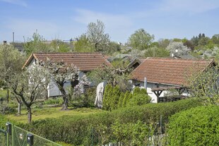 Eine Kleingartenparzelle im Sommer Eine Kleingartenparzelle im Sommer
