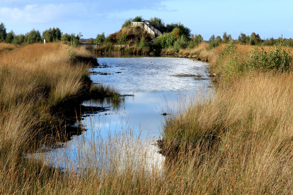Raubbau im Naturschutzgebiet: Torfdiebe sollen zahlen