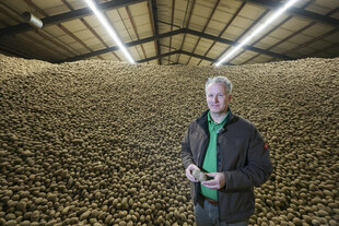 Im Kartoffellager der Osterland Agrar Im Kartoffellager der Osterland Agrar